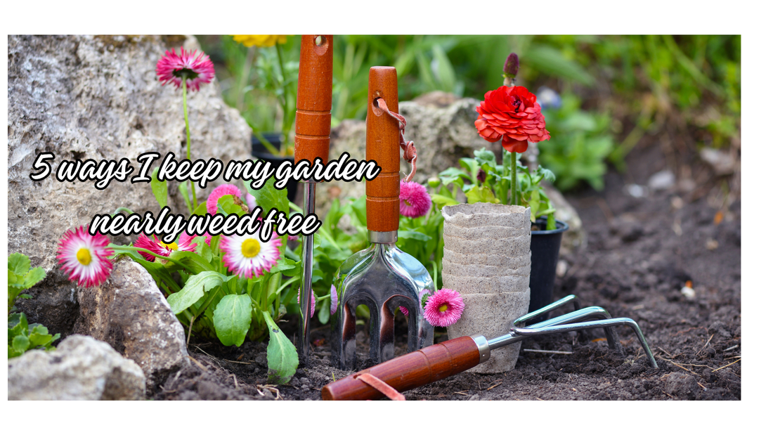 5 Ways to Create a Low-Maintenance, Nearly Weed-Free Garden