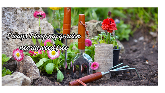 5 Ways to Create a Low-Maintenance, Nearly Weed-Free Garden