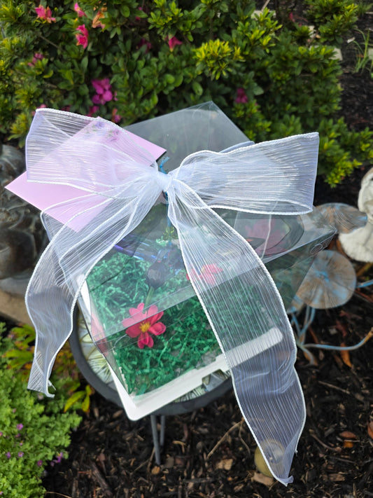 A small gift box wrapped in clear cellophane and tied with a large white organza bow, placed outdoors on a garden table. The box contains a green textured item with a pink flower and a pink card.