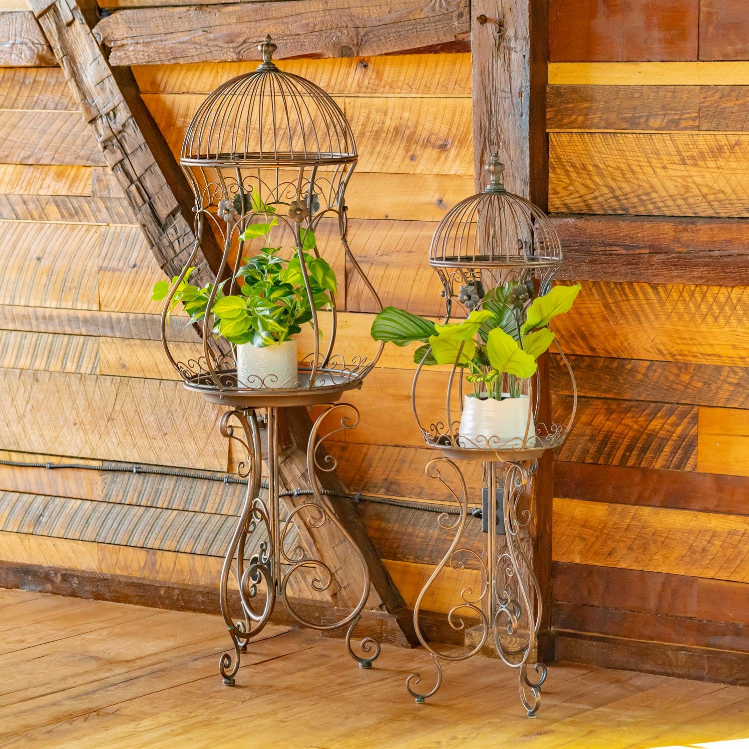 Two ornate metal birdcage plant stands on scrollwork bases, each holding a small potted green plant, set against a rustic wooden plank wall and floor.