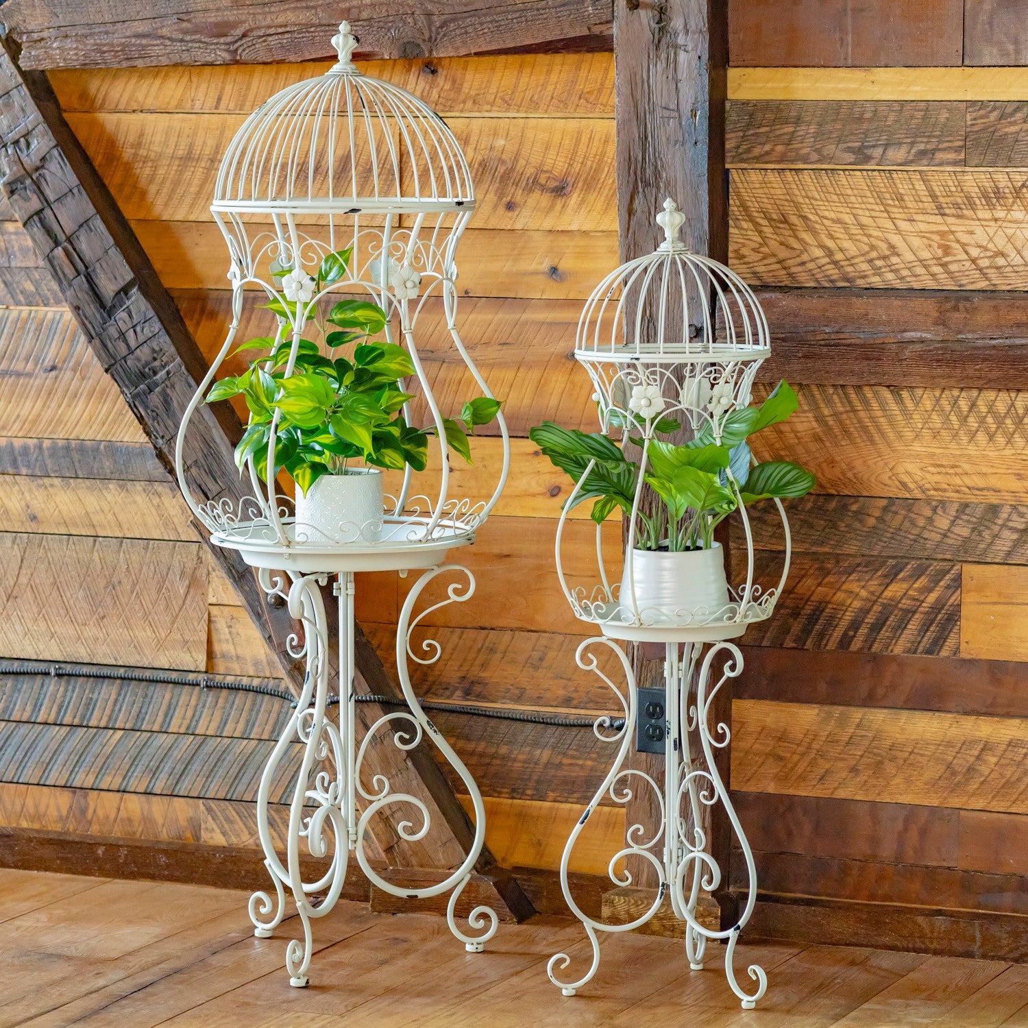 Two white ornate metal birdcage plant stands with potted green plants, set against a rustic wood plank wall and floor.