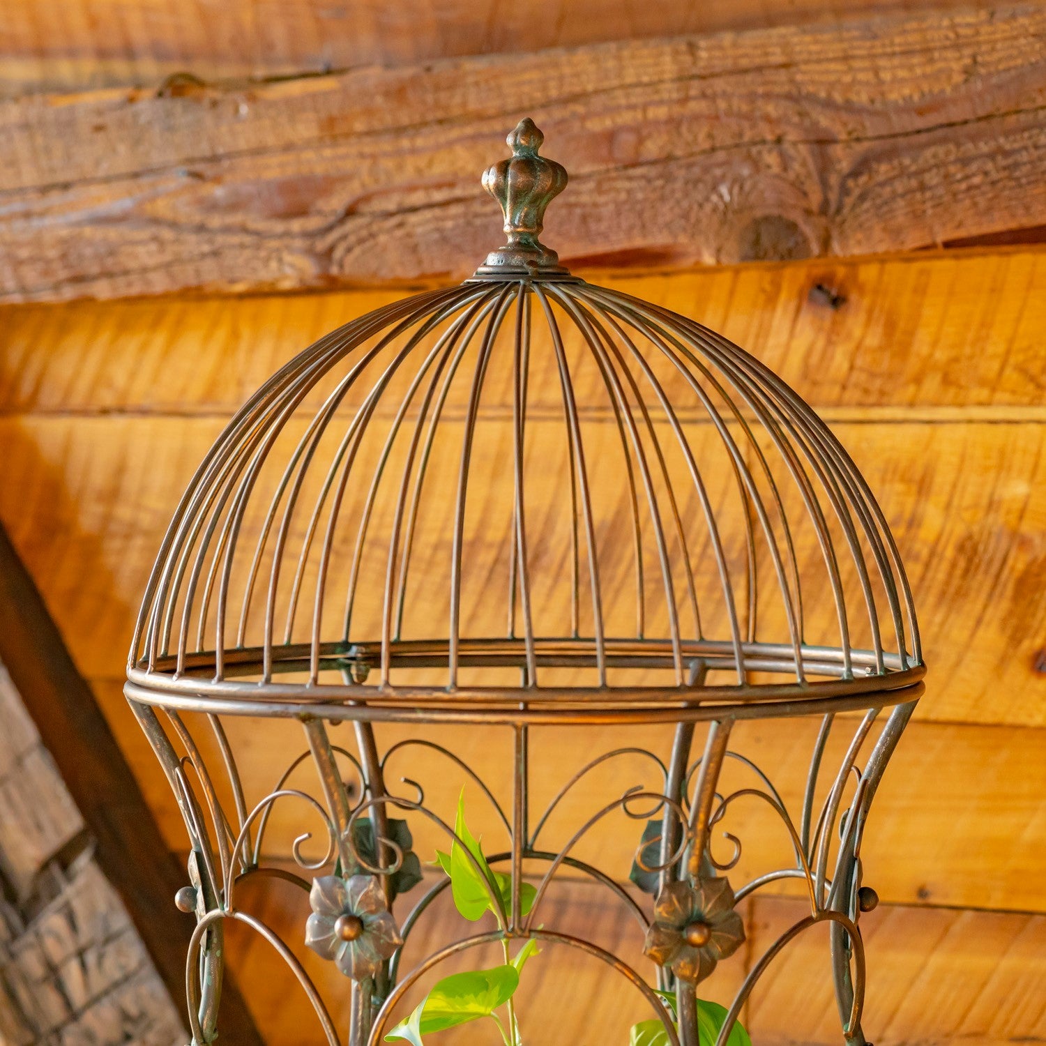 An ornate vintage-style metal birdcage planter with a domed top and decorative scrollwork, shown holding small green plants against a rustic wooden wall background.