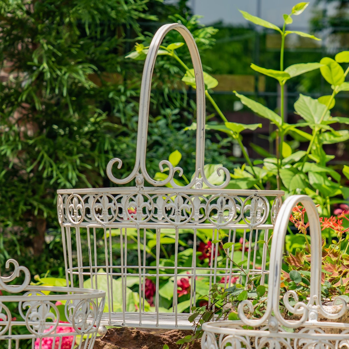 White ornate metal garden baskets with decorative scrollwork and arched handles, shown in a garden setting with green foliage and small flowers.