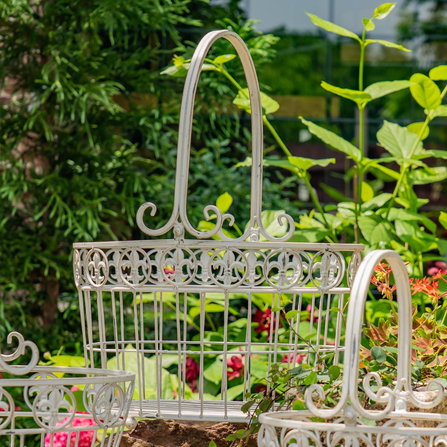 White ornate metal garden baskets with decorative scrollwork and arched handles, shown in a garden setting with green foliage and small flowers.