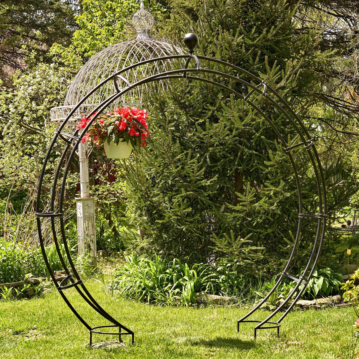 A black metal circular garden arch with a hanging planter, set on a green lawn in front of a large evergreen tree and a white wire birdcage garden structure.