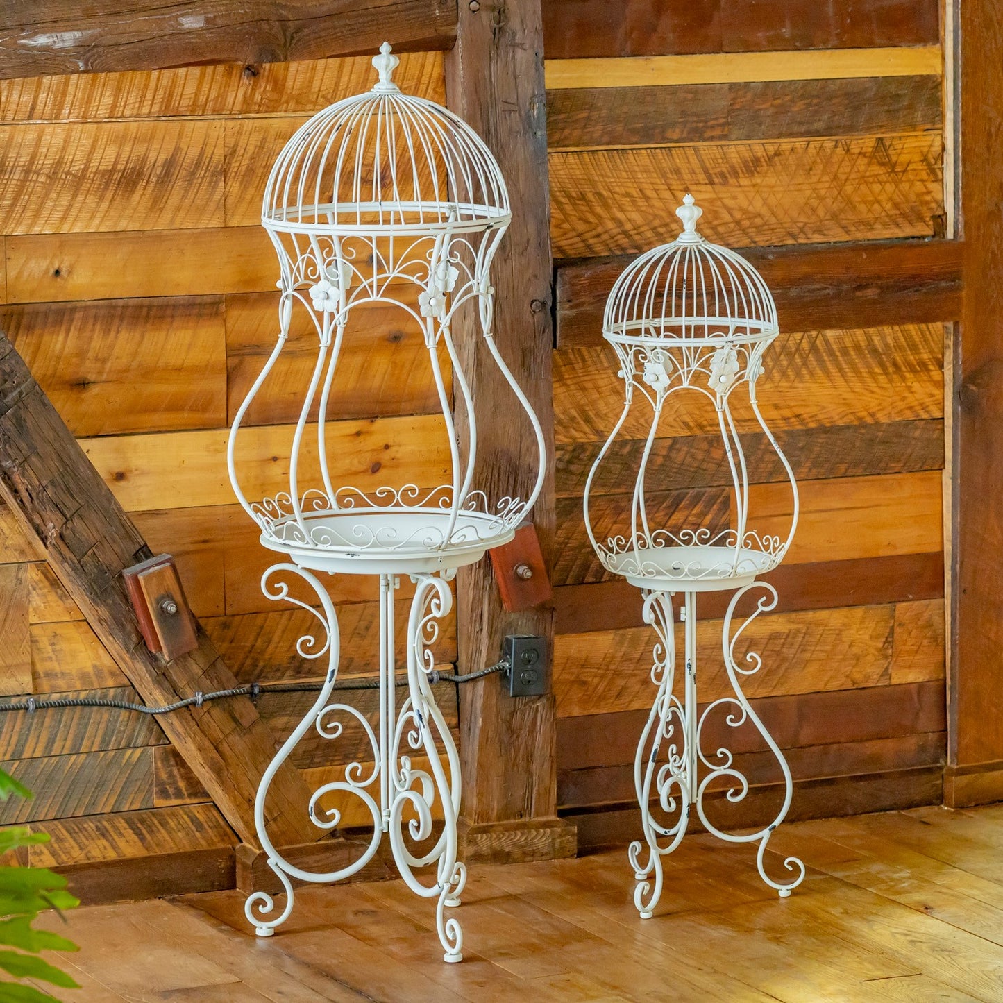 Two white ornate metal birdcage plant stands, set against a rustic wood plank wall and floor.