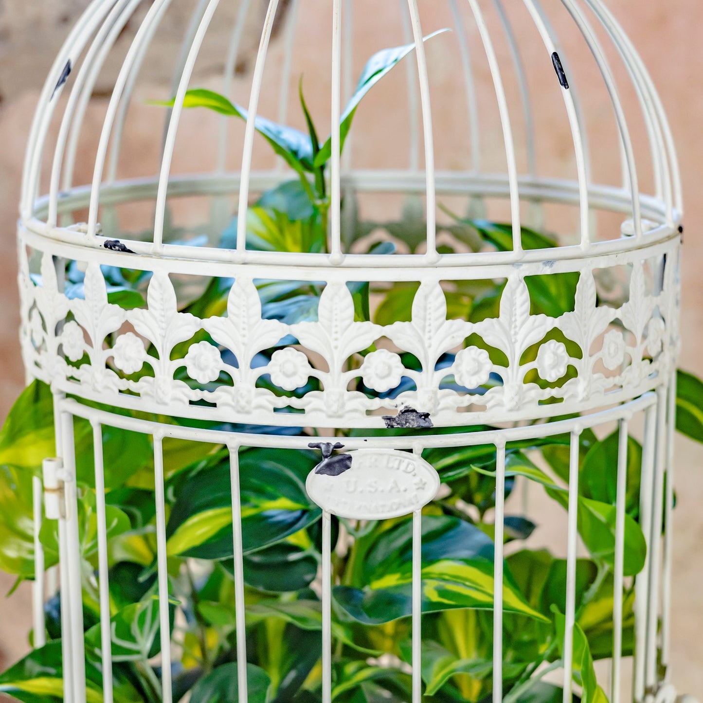 A white metal birdcage planter with decorative cutout detailing and a hanging tag, filled with green variegated foliage against a soft beige background.