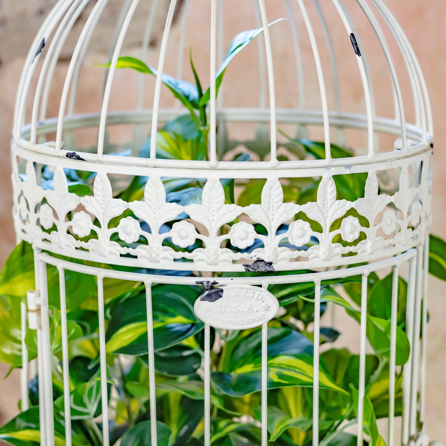 A white metal birdcage planter with decorative cutout detailing and a hanging tag, filled with green variegated foliage against a soft beige background.