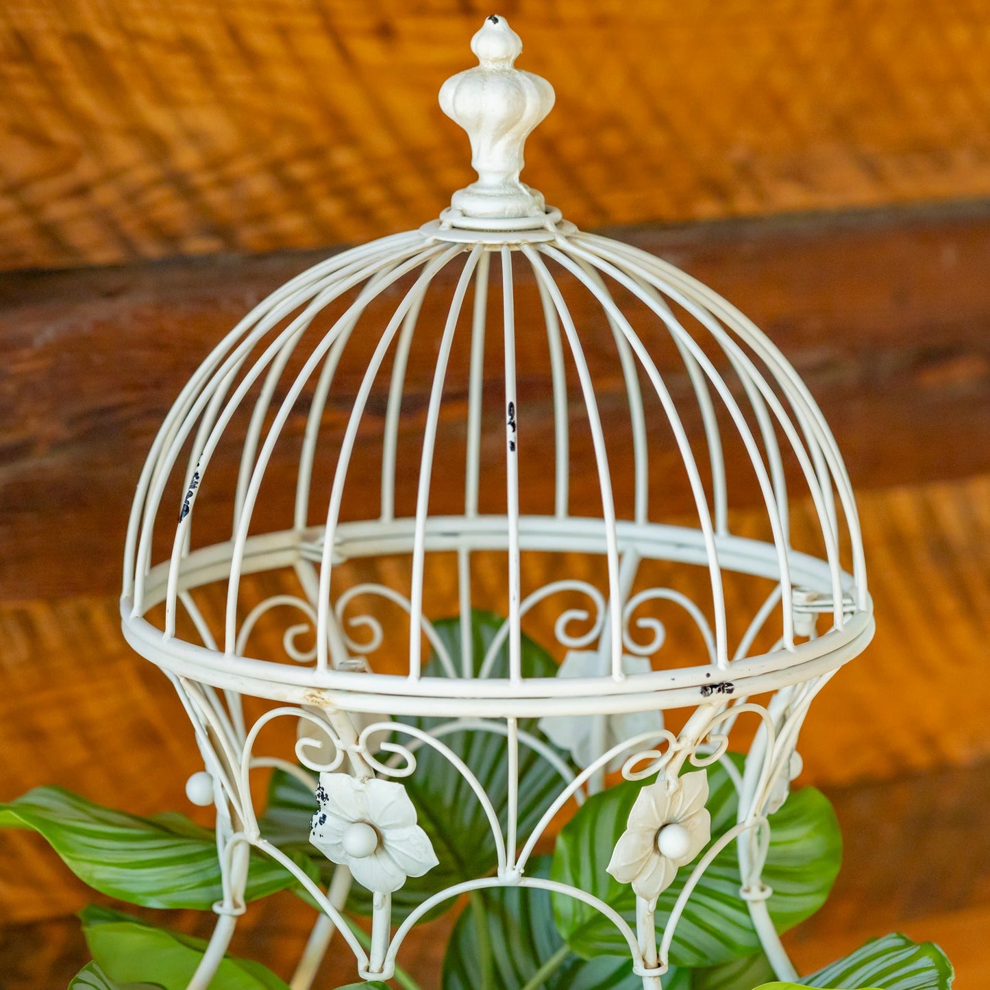 A white metal birdcage garden stake or planter cover with ornate scrollwork and small flower details, shown outdoors against a warm wooden background with green leaves visible at the bottom.