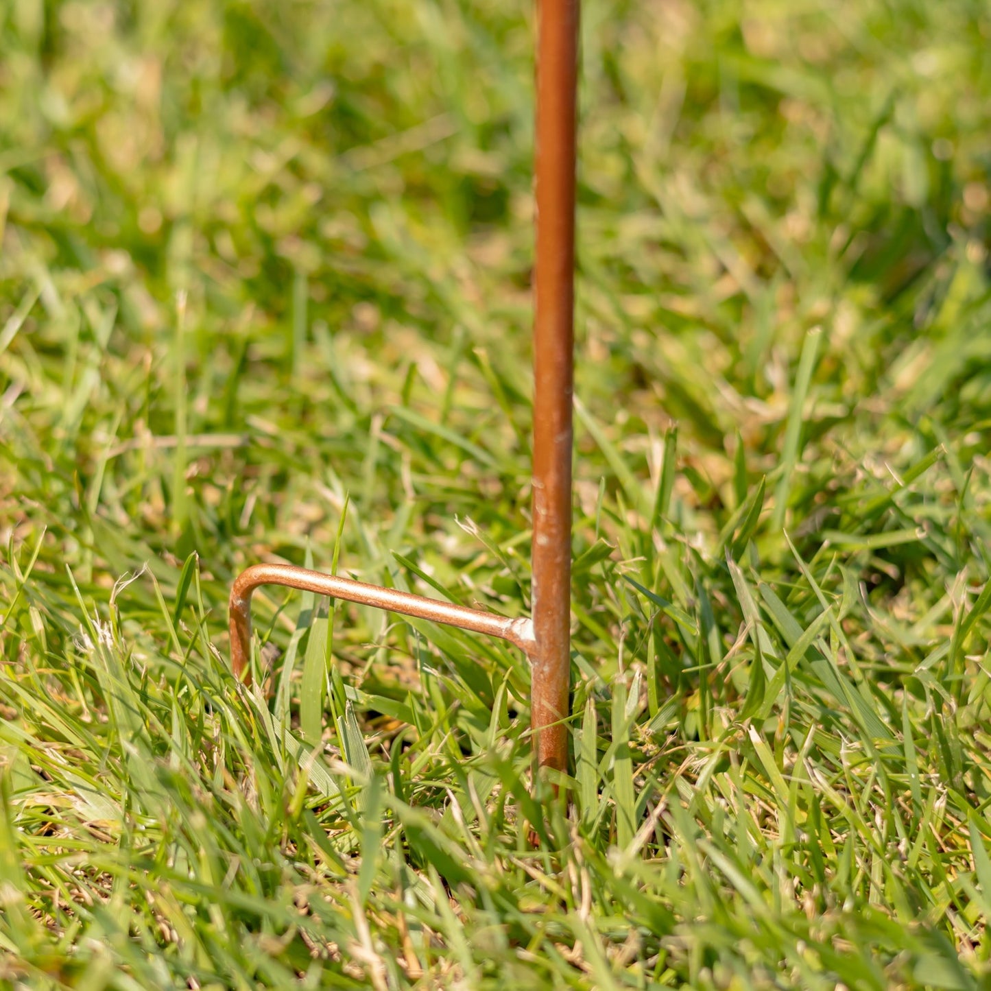 A close-up of a copper-colored metal garden stake with a bent ground anchor, planted in green grass.
