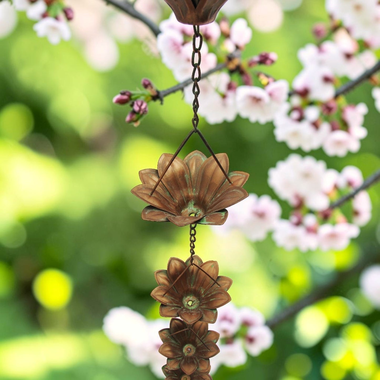 A bronze metal garden wind chime shaped like lotus flowers hanging from a tree branch with blooming pink and white flowers in the background.