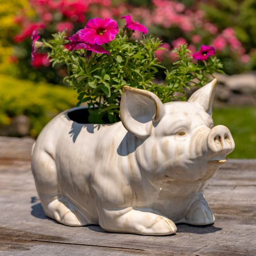 13" Hand-Painted Ceramic Pig Planter “Kewanee”
