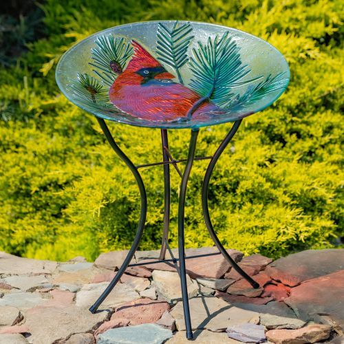 Decorative glass bird bath with a cardinal design on a stand outdoors.