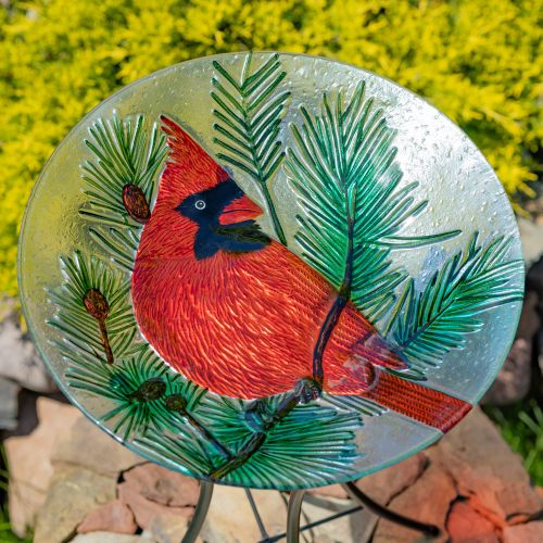 Kentucky 18" Hand-Painted Glass Cardinal Birdbath with Metal Stand
